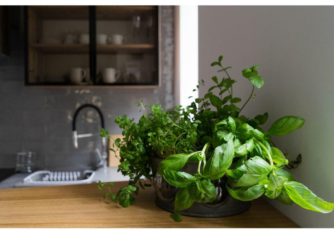 Gostynin Garden Apartment Bagian luar foto